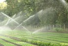 Clayton Southlandscaping-water-management-and-drainage-17.jpg; ?>